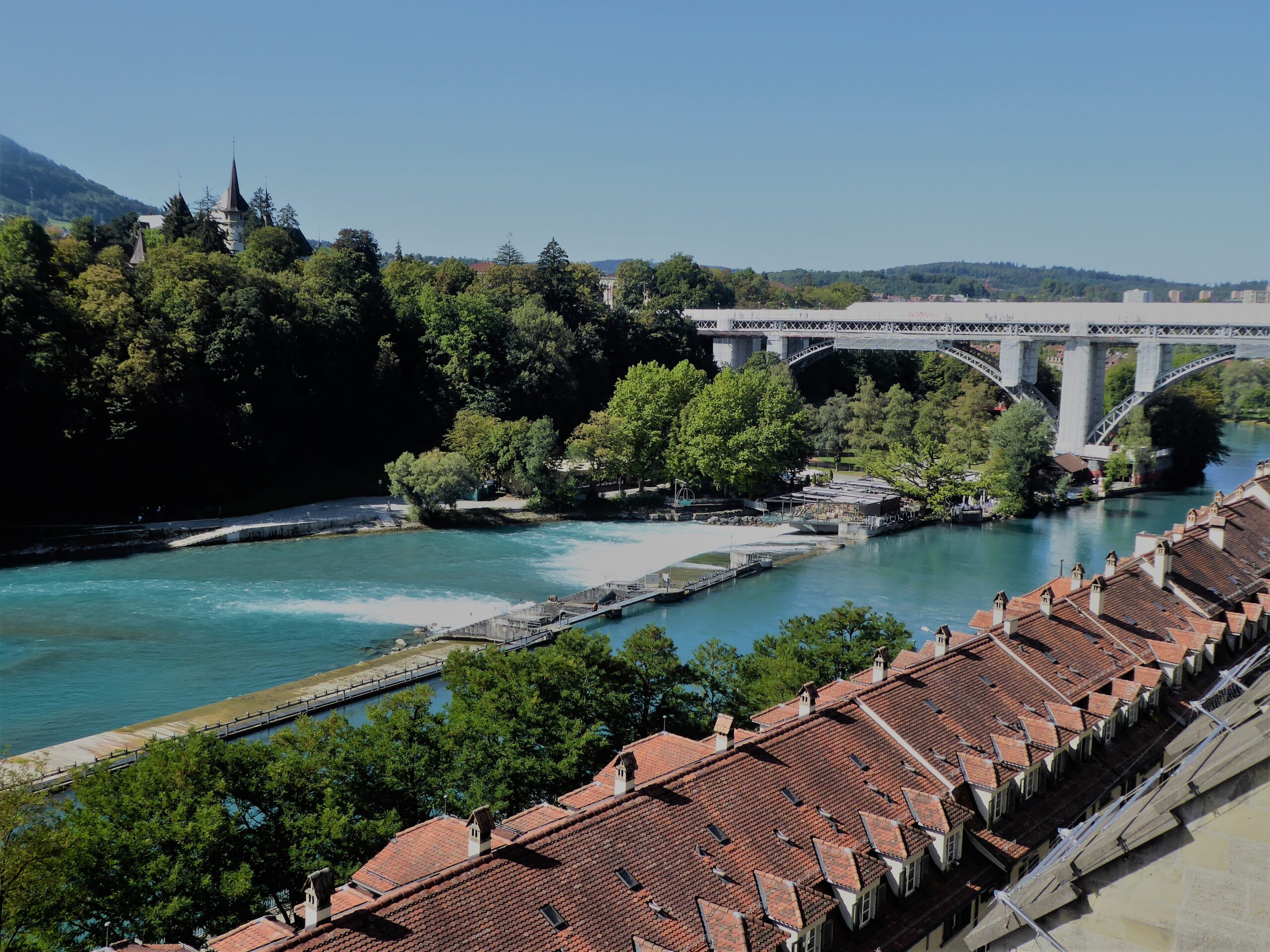immobilie bern